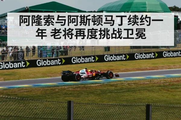 阿隆索与阿斯顿马丁续约一年 老将再度挑战卫冕